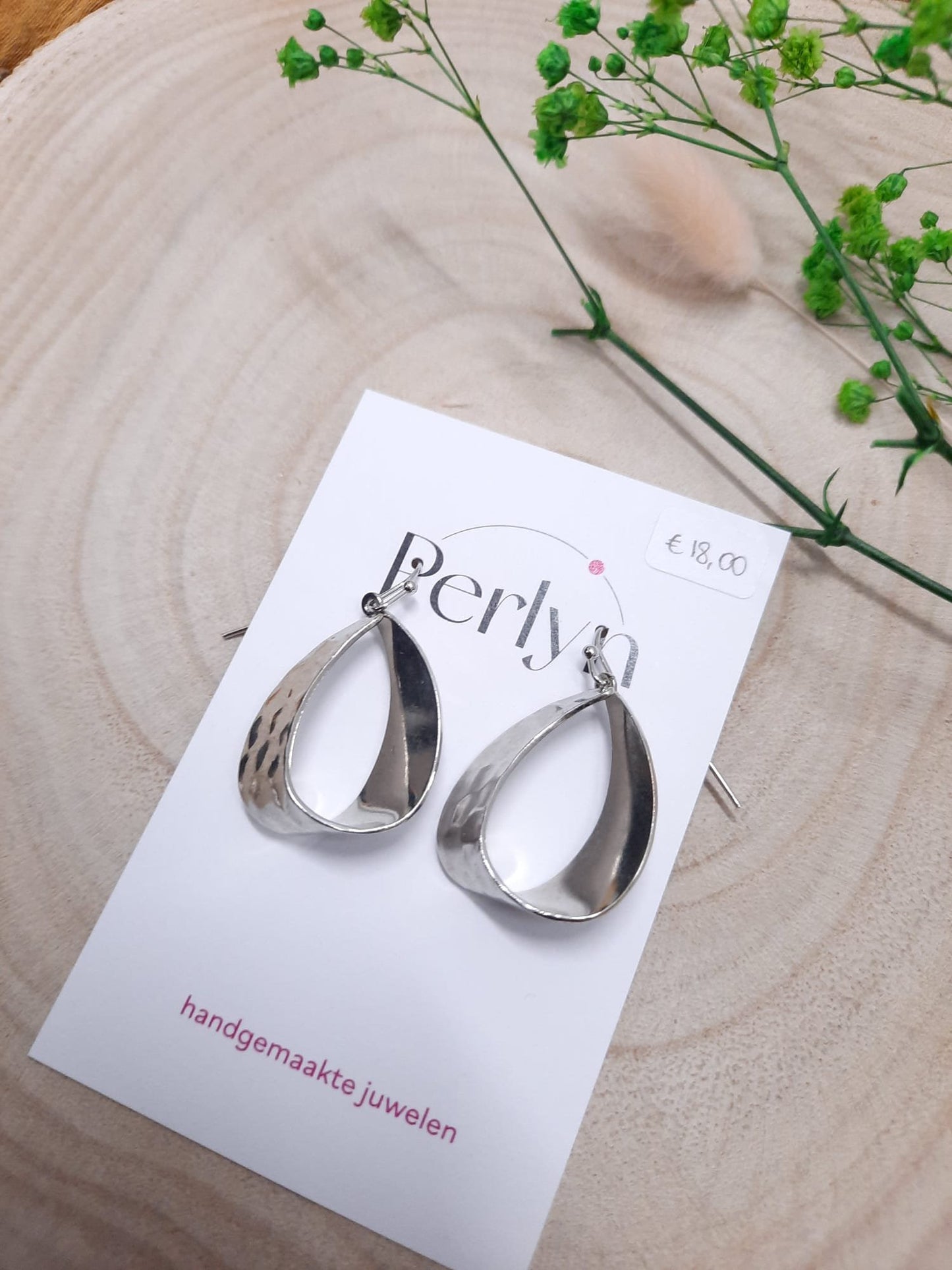 Oorbellen 'shiny silver'